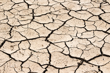 arid land.