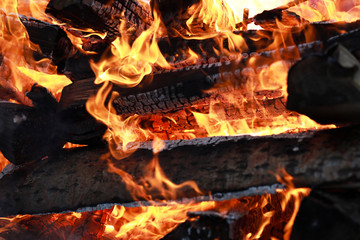 wooden logs burn with a bright flame in the fire