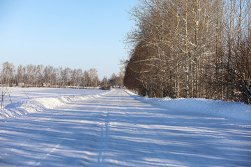empty rural road in a forest in winter day