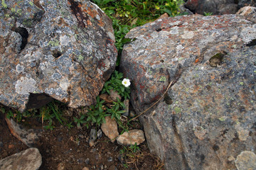 Travel to Eastern Sayan mountains