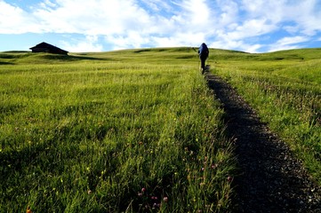 Unterwegs auf idyllischem Wanderweg auf grüner Wiese / Seiser Alm / Südtirol