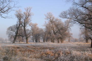 The arrival of winter
