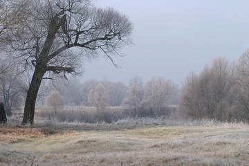 The arrival of winter