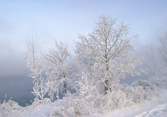 winter landscape