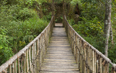 Hanging bridge at natural rain forest 
