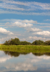 River in Polissya a bright sunny summer day