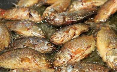 Frying fish