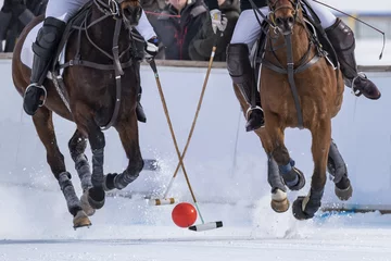 Muurstickers Snow polo © Nikokvfrmoto