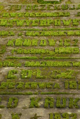 Lublin, Cmentarz na ul.Lipowej.