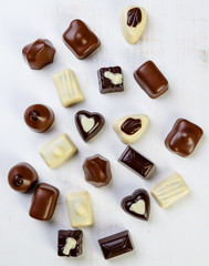 variety chocolate pralines