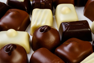variety chocolate pralines
