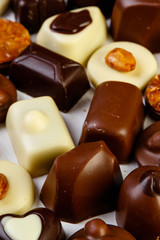 variety chocolate pralines
