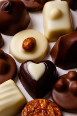 variety chocolate pralines