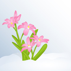 Beautiful spring background with Chionodoxa in snow for congratulations with spring or Womens Day. Holiday poster or placard template in cartoon style. Vector illustration. Flower Collection.