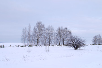 Fototapeta na wymiar Winter walk in Sokolka