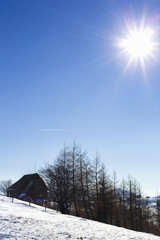 beautiful landscape with the sun shining winter day in the mount