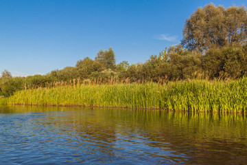 River in Polissya a bright sunny summer day