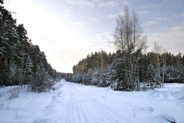 Fototapeta premium Walk through the beautiful places frosty Russian winter