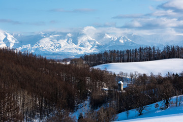 美瑛から見る冬の十勝岳