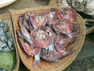 Sale of dried fishes to weligama from Sri-Lanka