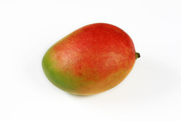 mangue © ALF photo