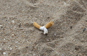 Cigarette butts in the sand on beach.