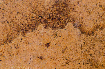 grunge background with space.