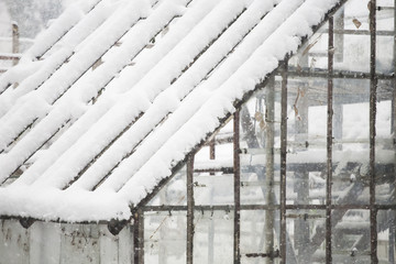 Old, abandoned greenhouse in the snow
