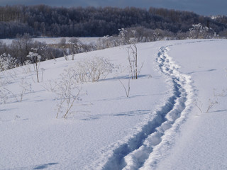 Fototapeta na wymiar Winter landscape path at snow field