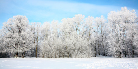 Russian winter in January