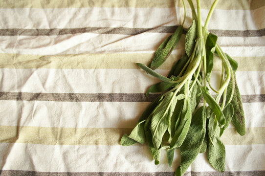 Bunch Of Sage Plant On The White And Green Table Cloth