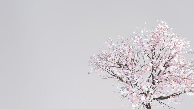 3d rendering picture of pink an white plum blossom. Copy space for your logo, greetings or messages.