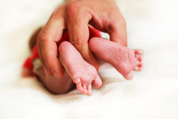 newborn feet on a white background in the father's hand
