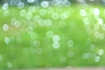 Grüner Hintergrund bokeh
