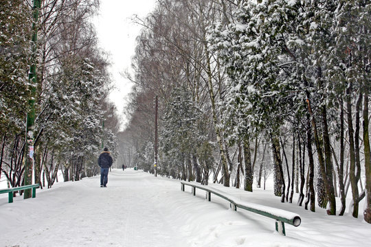 Fototapeta Snowy winter landscape