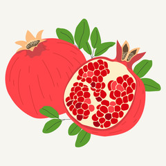 Hand drawn pomegranates in one piece and sliced in half isolated on white background. Vector illustration.