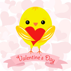 Valentine card with yellow chicken with a gift heart, ribbon with text Valentines day background with pink hearts.