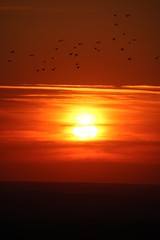 Summer sunset