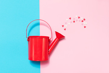 Colorful Watering Can on Colored Background with Sweethearts. Fl © nerudol