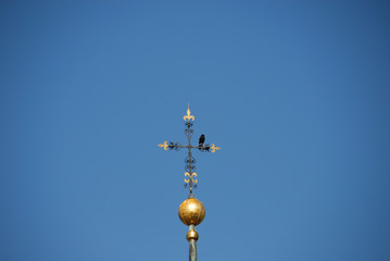 Fototapeta na wymiar Krähe auf Kreuz