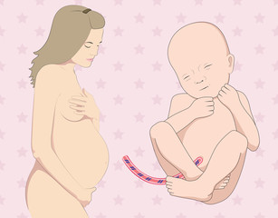 Pregnant Woman & Little Baby / Fetus. Vector Illustration  - obrazy, fototapety, plakaty