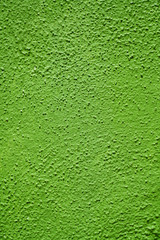 Green Wall Macro