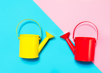 Couple of Colorful Watering Cans on Colored Background. Flat Lay © nerudol