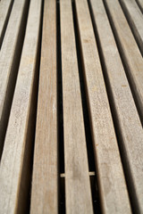 Wood Texture