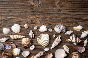 Fototapeta na wymiar Seashells on wooden background