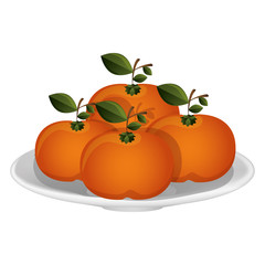 Delicious oranges fruits vector illustration graphic design