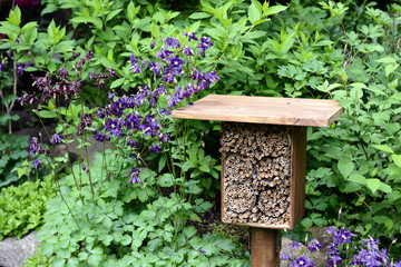 insect hotel in a garden