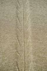 Beach Sand Texture