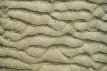 Beach Sand Texture