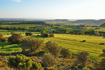 Fototapeta na wymiar Spring view of the Spanish plain with hills